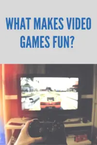What Makes Video Games Fun?